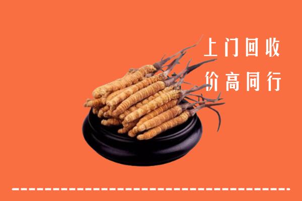 高价求购：郑州市中牟回收散虫草
