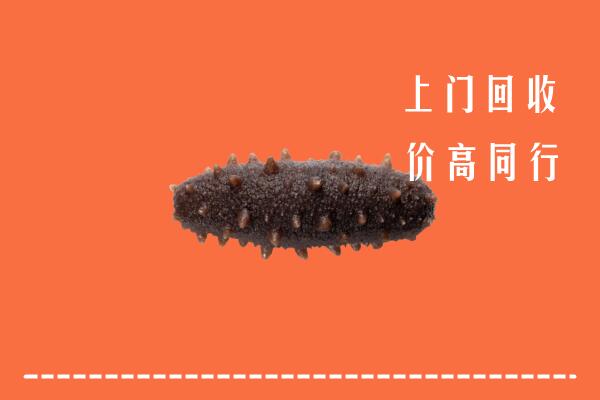 高价求购：郑州市中牟回收海参