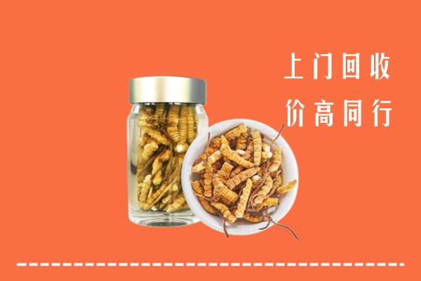 郑州市中牟回收冬虫夏草