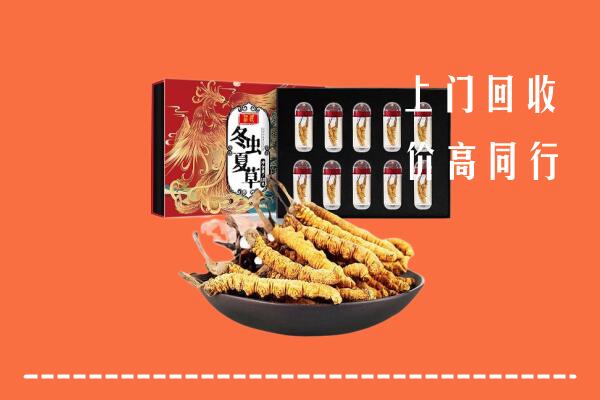 郑州市中牟回收虫草